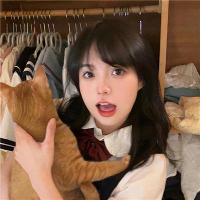 科搜研之女2022